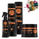 Kit Haskell Encorpa Cabelo Sh Cond Masc 300 Fluido 4 Itens