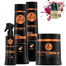 Kit Haskell Encorpa Cabelo Sh Cond Masc 500 Fluido 4 Itens