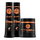Kit Haskell Encorpa Shampoo Condicionador E Mascara 500Ml