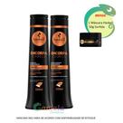 Kit Haskell Encorpa Shampoo e Condicionador 500ml