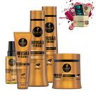 Kit Haskell Infusão de Óleos Sh Cond Másc 500gr Leave e Óleo