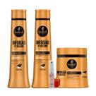Kit Haskell Infusão de óleos Shampoo 500ML 1 Condicionador 500ML 1 Mascara 500ML + Presente Lourre 15ml
