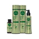Kit Haskell Jaborandi Antiqueda 300ml (4 itens)