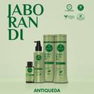 Kit Haskell Jaborandi Antiqueda 300ml (4 itens)