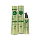 Kit Haskell Jaborandi Antiqueda Shampoo, Condicionador 500ml e Tônico 120ml