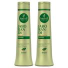 Kit Haskell Jaborandi Shampoo 500ml + Condicionador 500ml Kit Haskell Jaborandi Shampoo 500ml + Condicionador 500ml