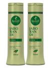 Kit haskell jaborandi shampoo e condicionador