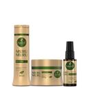 Kit Haskell Murumuru Shampoo 300ml + Máscara 300g + Néctar Nutrição Intensa, Reparação e Brilho
