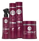 Kit Haskell Pós Progressiva Haskell 500gr Tratamento Completo para Cabelos Quimicamente Alisados (4 itens)
