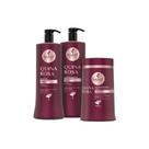 Kit Haskell Quina Rosa Sh, Cond 1L e Máscara 900g