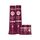 Kit Haskell Quina Rosa Sh, Cond 500ml e Máscara 300g Kit Haskell Quina Rosa Sh, Cond 500ml e Máscara 300g