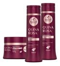Kit Haskell Quina Rosa Shampoo 300ML 1 Condicionador 300ML 1 Mascara 300ML