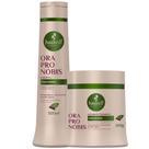 Kit Haskell Shampoo 500ML 1 Mascara 500ML Força Extrema