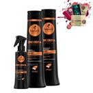 Kit Haskell Shampoo Condicionador Encorpa 500ml + Fluido
