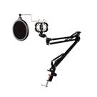 Kit Haste Articulado,braço Flexível P/microfone dinâmico c/pop filter,aranha,aço