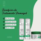 Kit Hidratação Pós Química Tratamento Capilar 900 Ml