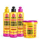 Kit Hidratante De Cabelo Para Fim Do Frizz E Ressecamento