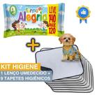 Kit Higiene Pet com 9 Tapetes Higiênicos Absorventes Médios + 1 Lenço Umedecido Turma da Alegria