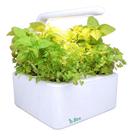 Kit Horta Inteligente E Sementes - Com Autoirrigação E Led