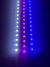 Kit iluminação aquário Barra led 20cm com Capa 12V 3 barras