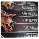 Kit Incenso São Miguel arcanjo Indiano TAJ 5 caixinhas cristo jesus católico evangélico