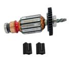 KIT induzido220V c/rolam. + jg escova carvão p/furad. DWD502