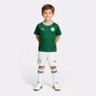 Kit Infantil Puma Palmeiras I 2026 Juvenil