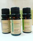 kit iniciantes 3 oleos essencias, lavanda, menta piperita, tea tree