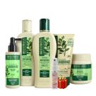 Kit Jaborandi Antiqueda Cosméticos Naturais Bio Extratus + Presente Lourre 15ml