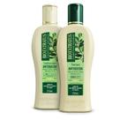 Kit Jaborandi Shampoo e Condicionador Bio Extratus 250 mL Antiqueda e Crescimento