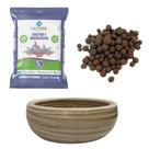 Kit Jardim de Suculenta Pronto e Fácil - 26x10cm Cor Palha