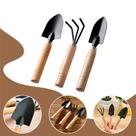 Kit Jardinagem Profissional 3 Peças Mini Pá Ancinho E Transplantador Cabo De Madeira Ergonômico Conjunto De Ferramentas