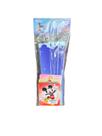 Kit Jogo Personagem Mickey Mouse Regina