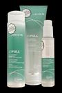 Kit Joico Joifull - Shampoo, Condicionador e Leave-in