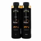 Kit kerabrasil sh+cond 1l gold power horse