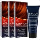 Kit Kert Keraton: 3 Tonalizantes Banho de Brilho Vegan Conhaque Cobre Avermelhado 100g Kit Kert Keraton: 3 Tonalizantes Banho de Brilho Vegan Conhaque Cobre Avermelhado 100g