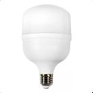 Kit Lâmpada Bulbo Led T 40W Bivolt 6500K C/12 Un.