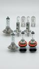 Kit Lâmpadas Halógenas H1 H7 T10 12V 55W
