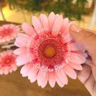 Kit Lembrancinha Outubro Rosa - Mini Creme Cartão Flor 10un