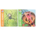 Kit Lenticular 3D - 2 livros: Aventuras de Aranhas e Cobras - Kit de Livros