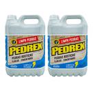 Kit Limpa Pedra 5 Litros 02 Unidades Pedrex Start Kit Limpa Pedra 5 Litros 02 Unidades Pedrex Start