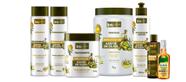 Kit Linha Completa Explosão de Azeite de Oliva bn.Cachos Kit Linha Completa Explosão de Azeite de Oliva bn.Cachos
