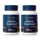 KIT Lisina 500mg Autêntica com Laudo 2 Potes 60 Cápsulas