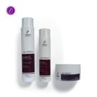 Kit Liso Perfeito: Hidratação Intensa e Liso Impecável Shed Professional Kit Liso Perfeito: Hidratação Intensa e Liso Impecável Shed Professional