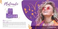 Kit loiro platinado perfeito 4 itens