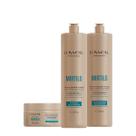 Kit Lowell Extrato de Mirtilo Salon Máscara (3 produtos) Kit Lowell Extrato de Mirtilo Salon Máscara (3 produtos)