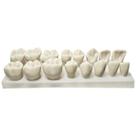 Kit Macro Dentes