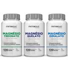Kit Magnesio L Treonato Dimalato Quelato 500Mg 120cápsulas Metabolic Farma
