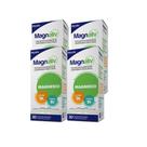 Kit Magnésio Magnaliv c/ 30 cpr cada (4 unidades) Kit Magnésio Magnaliv c/ 30 cpr cada (4 unidades)