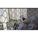 Kit Malha 3x3 Rede Tela de Proteção 2.00X4.00 Para Gatos Filhotes, Pássaros e Crianças (4.00X2.00)